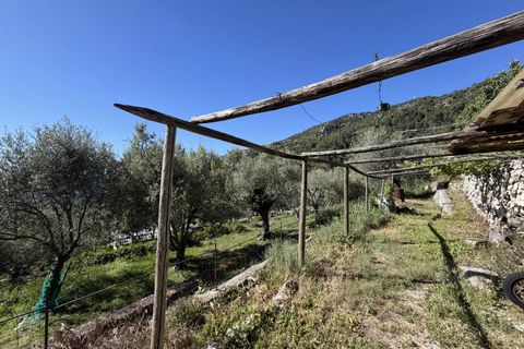 Villa a Bendejun, Alpes-Maritimes, Bendejun - € 459.000 | Ref: 1299 - foto 13