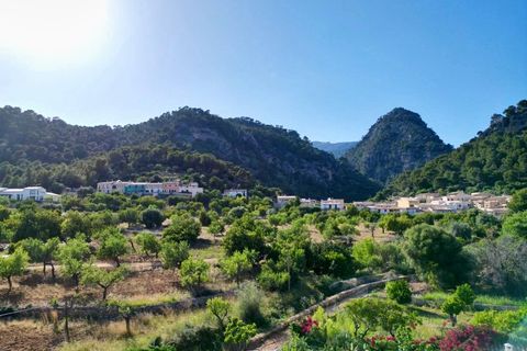 Terra a Caimari, Mallorca, Caimari - € 860.000 | Ref: 7769 - foto 2