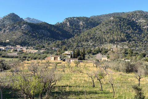 Terra a Caimari, Mallorca, Caimari - € 860.000 | Ref: 7769 - foto 7