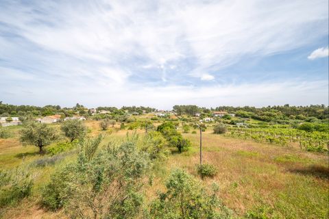 Farm hus i Azambuja, Lisbon, Azambuja - € 475.000 | Ref: TAPT01-1655_EC - foto 13