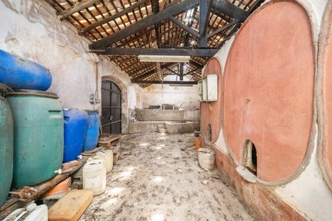 Farm hus i Azambuja, Lisbon, Azambuja - € 475.000 | Ref: TAPT01-1655_EC - foto 15