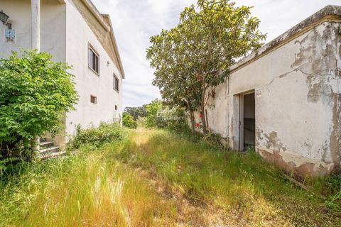 Farm hus i Azambuja, Lisbon, Azambuja - € 475.000 | Ref: TAPT01-1655_EC - foto 17