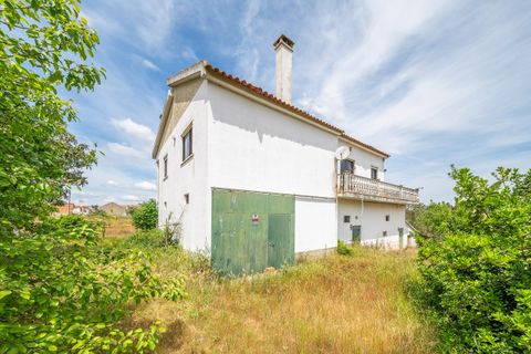 Farm hus i Azambuja, Lisbon, Azambuja - € 475.000 | Ref: TAPT01-1655_EC - foto 19