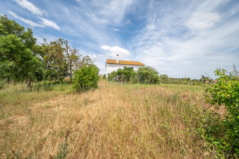Farm hus i Azambuja, Lisbon, Azambuja - € 475.000 | Ref: TAPT01-1655_EC - foto 21