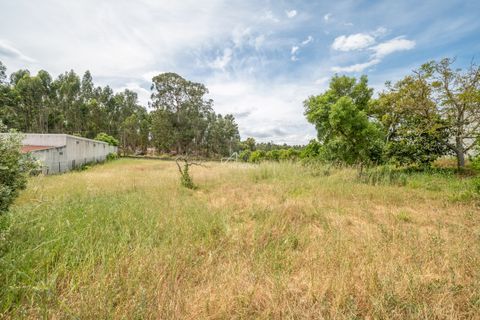 Farm hus i Azambuja, Lisbon, Azambuja - € 475.000 | Ref: TAPT01-1655_EC - foto 22