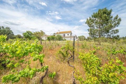 Farm hus i Azambuja, Lisbon, Azambuja - € 475.000 | Ref: TAPT01-1655_EC - foto 23