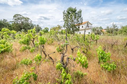 Farm hus i Azambuja, Lisbon, Azambuja - € 475.000 | Ref: TAPT01-1655_EC - foto 24