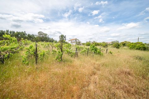 Farm hus i Azambuja, Lisbon, Azambuja - € 475.000 | Ref: TAPT01-1655_EC - foto 25