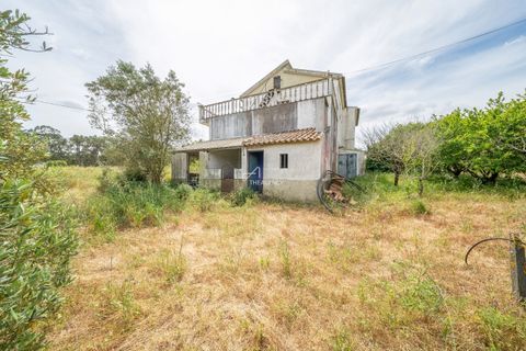 Farm hus i Azambuja, Lisbon, Azambuja - € 475.000 | Ref: TAPT01-1655_EC - foto 26