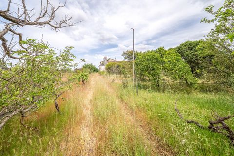 Farm hus i Azambuja, Lisbon, Azambuja - € 475.000 | Ref: TAPT01-1655_EC - foto 28