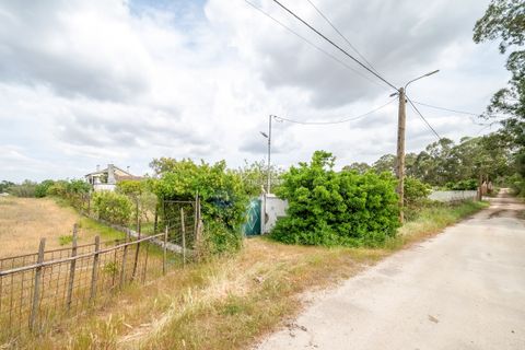 Farm hus i Azambuja, Lisbon, Azambuja - € 475.000 | Ref: TAPT01-1655_EC - foto 29