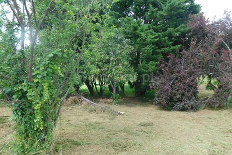 Byhus i Seia, Guarda, Seia - € 225.000 | Ref: 382260049 - foto 19