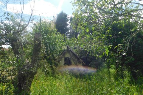 Byhus i Seia, Guarda, Seia - € 225.000 | Ref: 382260049 - foto 22