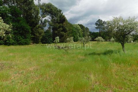 Byhus i Seia, Guarda, Seia - € 225.000 | Ref: 382260049 - foto 23