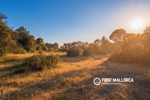 Tomt i Algaida, Mallorca, Algaida - € 298 000 | Ref: 83673 - foto 2