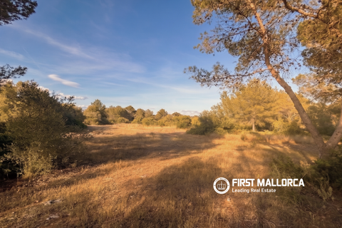Tomt i Algaida, Mallorca, Algaida - € 298 000 | Ref: 83673 - foto 3