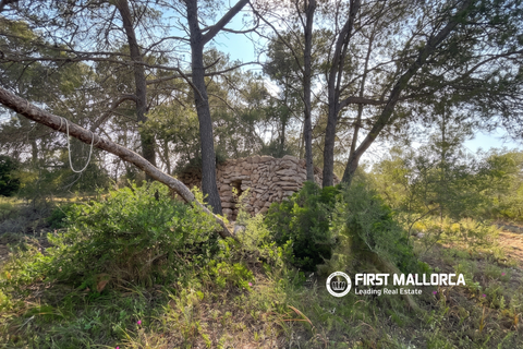 Tomt i Algaida, Mallorca, Algaida - € 298 000 | Ref: 83673 - foto 5