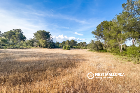 Tomt i Algaida, Mallorca, Algaida - € 298 000 | Ref: 83673 - foto 6
