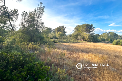 Tomt i Algaida, Mallorca, Algaida - € 298 000 | Ref: 83673 - foto 7