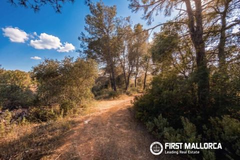 Tomt i Algaida, Mallorca, Algaida - € 298 000 | Ref: 83673 - foto 1