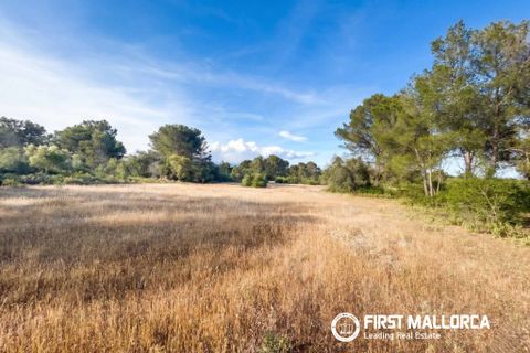 Tomt i Algaida, Mallorca, Algaida - € 298 000 | Ref: 83673 - foto 5