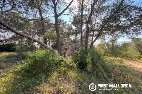 Tomt i Algaida, Mallorca, Algaida - € 298 000 | Ref: 83673 - foto 6