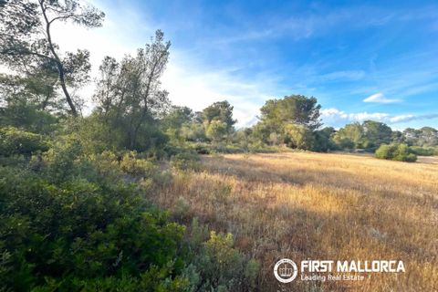 Tomt i Algaida, Mallorca, Algaida - € 298 000 | Ref: 83673 - foto 7