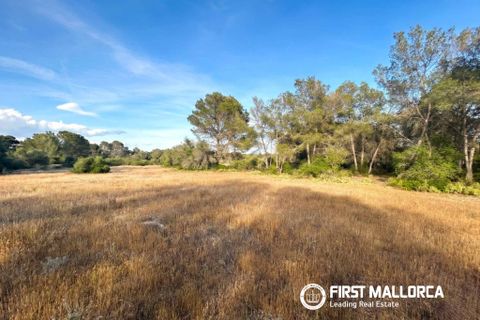 Tomt i Algaida, Mallorca, Algaida - € 298 000 | Ref: 83673 - foto 8