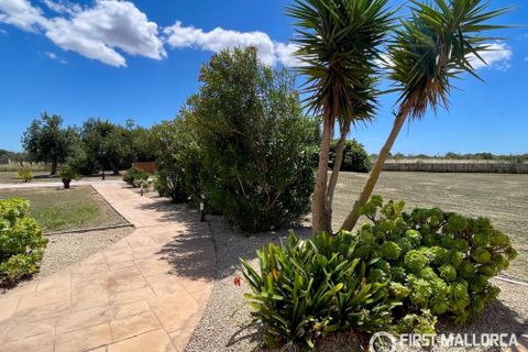 Masia a Campos, Mallorca, Campos - € 1.250.000 | Ref: 83756 - foto 16