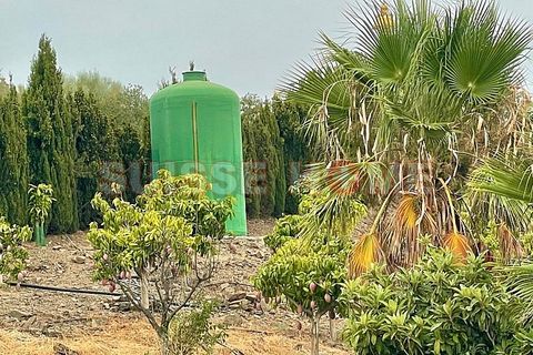Byhus i Velez Malaga, Malaga, Velez Malaga - € 420.000 | Ref: SC4E-63615 - foto 15
