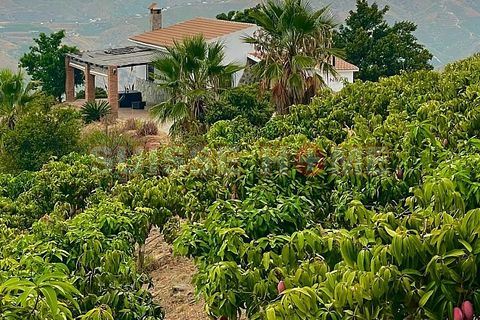 Byhus i Velez Malaga, Malaga, Velez Malaga - € 420.000 | Ref: SC4E-63615 - foto 18