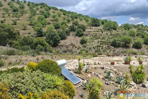 Landejendom i Huercal-Overa, Almeria, Huercal-Overa - € 349.000 | Ref: EAF-68180989 - foto 31