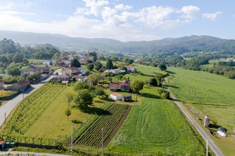 Landejendom i A Estrada, Pontevedra, A Estrada - € 115.000 | Ref: 2998 - foto 30