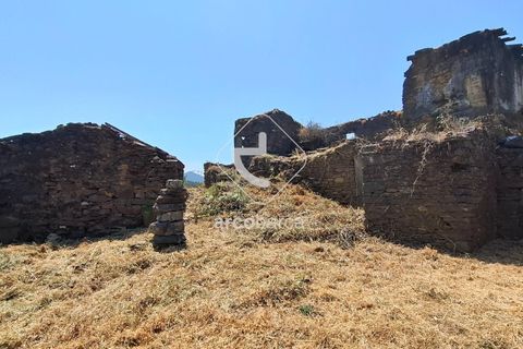 Farm i Ponte de Lima, Viana do Castelo, Ponte de Lima - € 110.000 | Ref: AV6731 - foto 2
