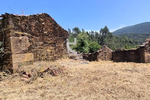 Farm i Ponte de Lima, Viana do Castelo, Ponte de Lima - € 110.000 | Ref: AV6731 - foto 3