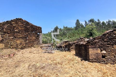 Farm i Ponte de Lima, Viana do Castelo, Ponte de Lima - € 110.000 | Ref: AV6731 - foto 4