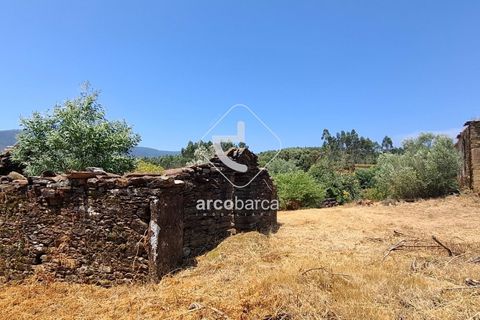 Farm i Ponte de Lima, Viana do Castelo, Ponte de Lima - € 110.000 | Ref: AV6731 - foto 11