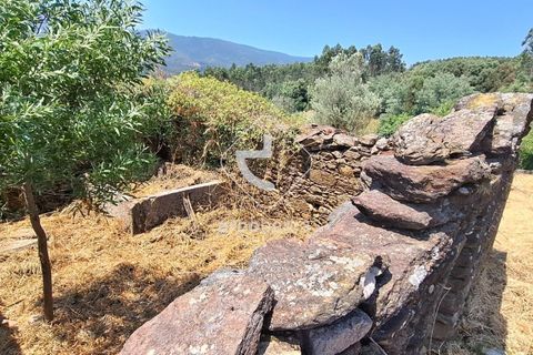 Farm i Ponte de Lima, Viana do Castelo, Ponte de Lima - € 110.000 | Ref: AV6731 - foto 12