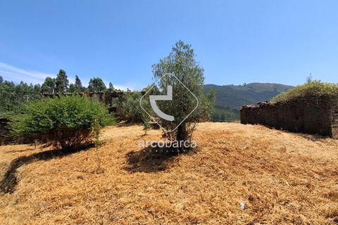 Farm i Ponte de Lima, Viana do Castelo, Ponte de Lima - € 110.000 | Ref: AV6731 - foto 14