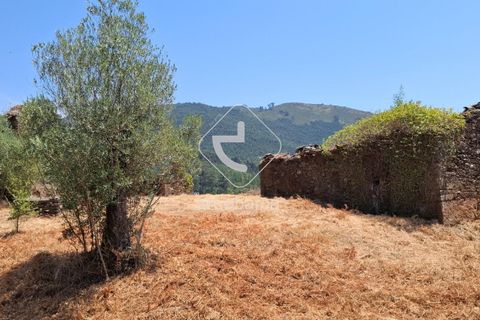 Farm i Ponte de Lima, Viana do Castelo, Ponte de Lima - € 110.000 | Ref: AV6731 - foto 15