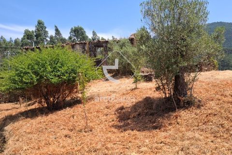 Farm i Ponte de Lima, Viana do Castelo, Ponte de Lima - € 110.000 | Ref: AV6731 - foto 16