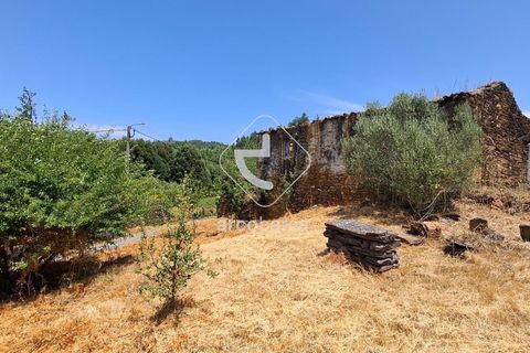 Farm i Ponte de Lima, Viana do Castelo, Ponte de Lima - € 110.000 | Ref: AV6731 - foto 17