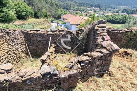 Farm i Ponte de Lima, Viana do Castelo, Ponte de Lima - € 110.000 | Ref: AV6731 - foto 19