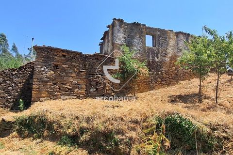 Farm i Ponte de Lima, Viana do Castelo, Ponte de Lima - € 110.000 | Ref: AV6731 - foto 24
