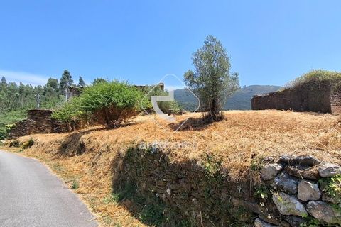 Farm i Ponte de Lima, Viana do Castelo, Ponte de Lima - € 110.000 | Ref: AV6731 - foto 25