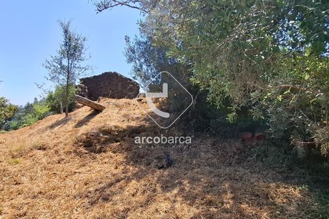 Farm i Ponte de Lima, Viana do Castelo, Ponte de Lima - € 110.000 | Ref: AV6731 - foto 27