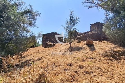 Farm i Ponte de Lima, Viana do Castelo, Ponte de Lima - € 110.000 | Ref: AV6731 - foto 28