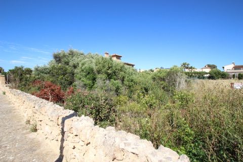 Terra a Sa Torre, Mallorca, Sa Torre - € 951.000 | Ref: SAE 2016 - foto 2