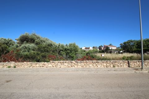 Terra a Sa Torre, Mallorca, Sa Torre - € 951.000 | Ref: SAE 2016 - foto 3