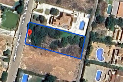 Terra a Sa Torre, Mallorca, Sa Torre - € 951.000 | Ref: SAE 2016 - foto 5